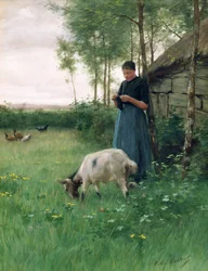Une fille hollandaise avec une chèvre et des poules, vers 1910